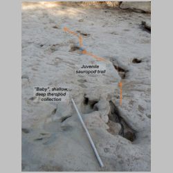 DSCN0680cr labeled.jpg